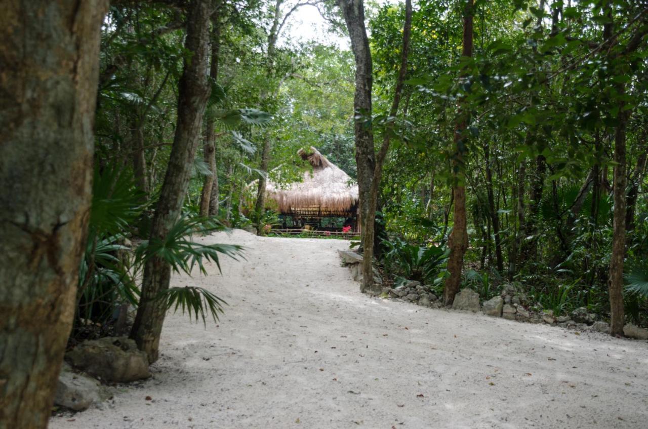 Rotamundos Mama Loomm Hotell Playa del Carmen Eksteriør bilde