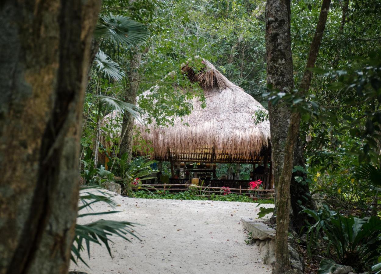 Rotamundos Mama Loomm Hotell Playa del Carmen Eksteriør bilde