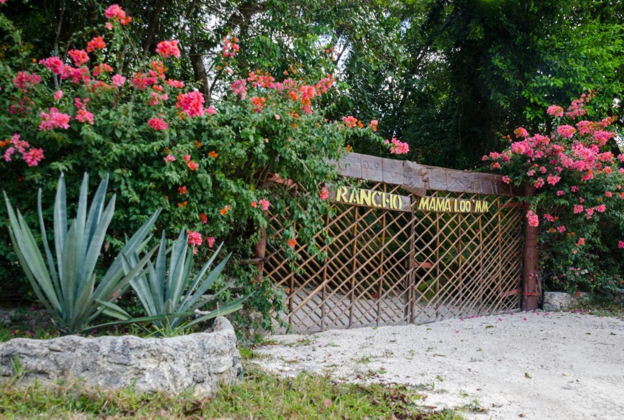 Rotamundos Mama Loomm Hotell Playa del Carmen Eksteriør bilde